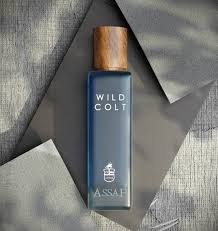 Wild Colt Assaf