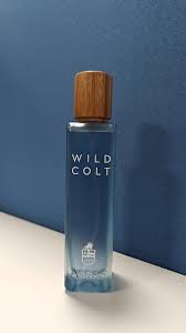 Wild Colt Assaf